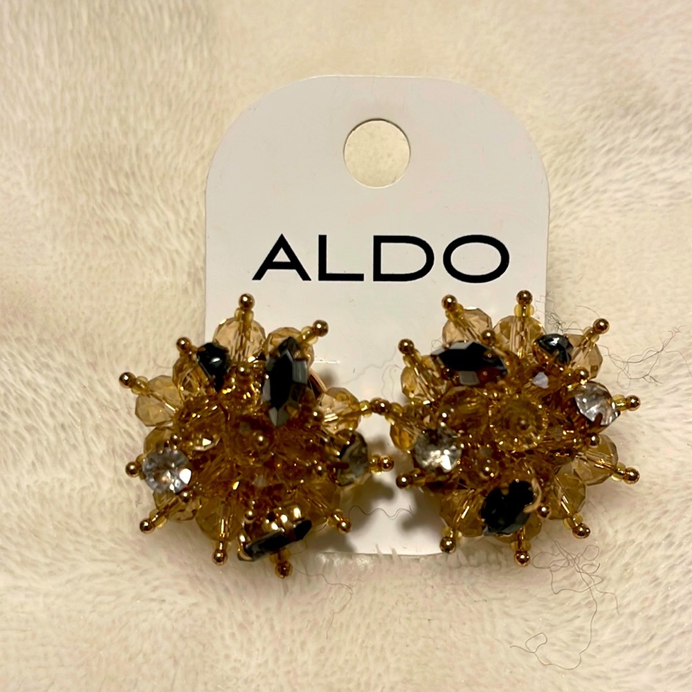 Aldo earrings